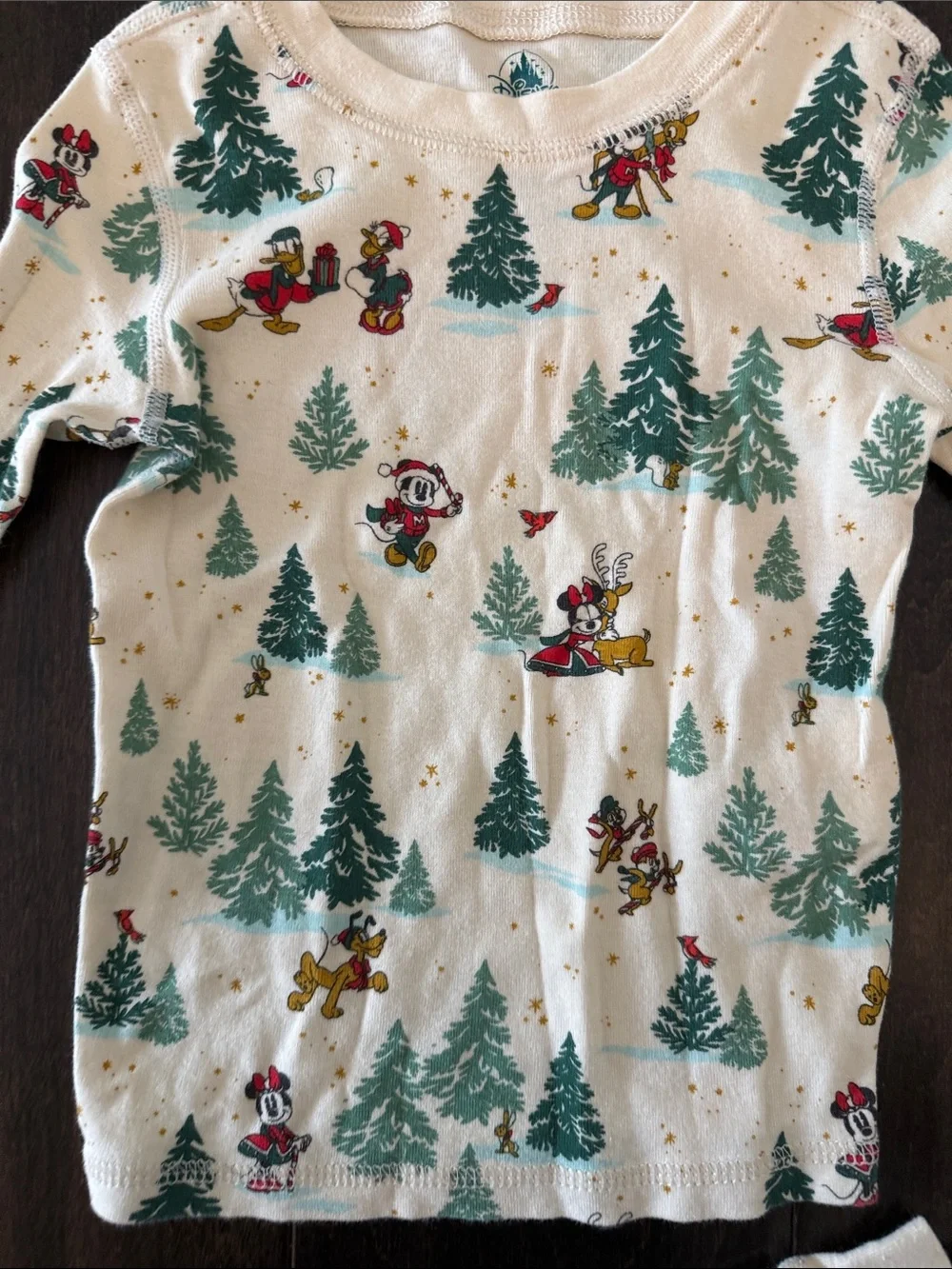Disney long care